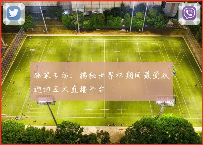 独家专访:揭秘世界杯期间最受欢迎的五大直播平台