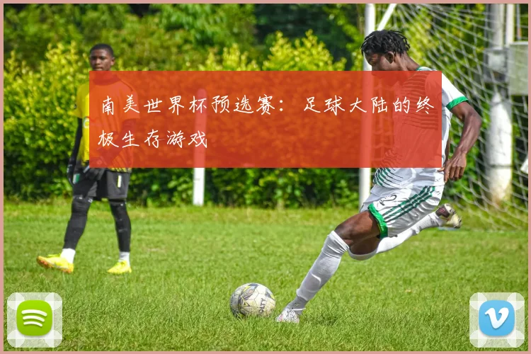 南美世界杯预选赛：足球大陆的终极生存游戏
