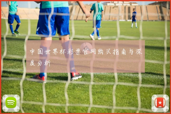 中国世界杯彩票官网购买指南与深度分析