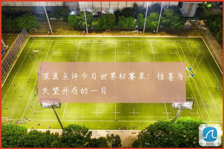 深度点评今日世界杯赛果:惊喜与失望并存的一日