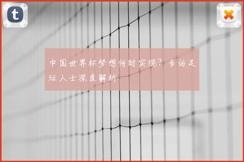 中国世界杯梦想何时实现?专访足坛人士深度解析