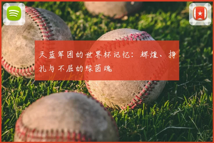 天蓝军团的世界杯记忆:辉煌、挣扎与不屈的绿茵魂