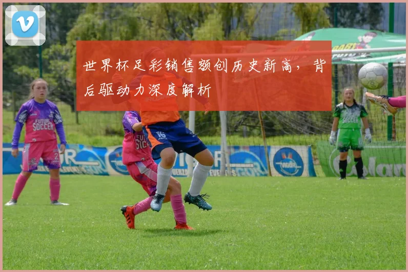 世界杯足彩销售额创历史新高，背后驱动力深度解析
