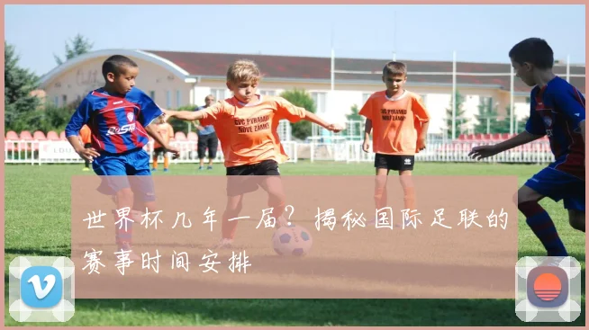 世界杯几年一届？揭秘国际足联的赛事时间安排