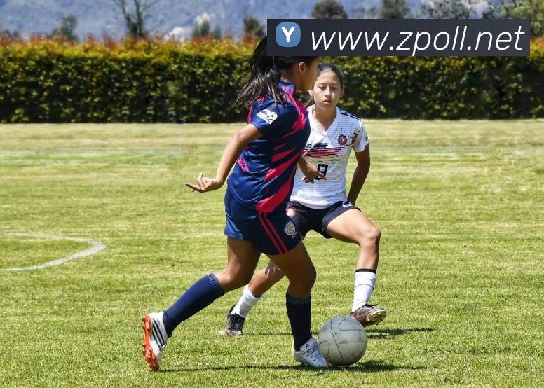 beat365平台唯一官网平台生态图